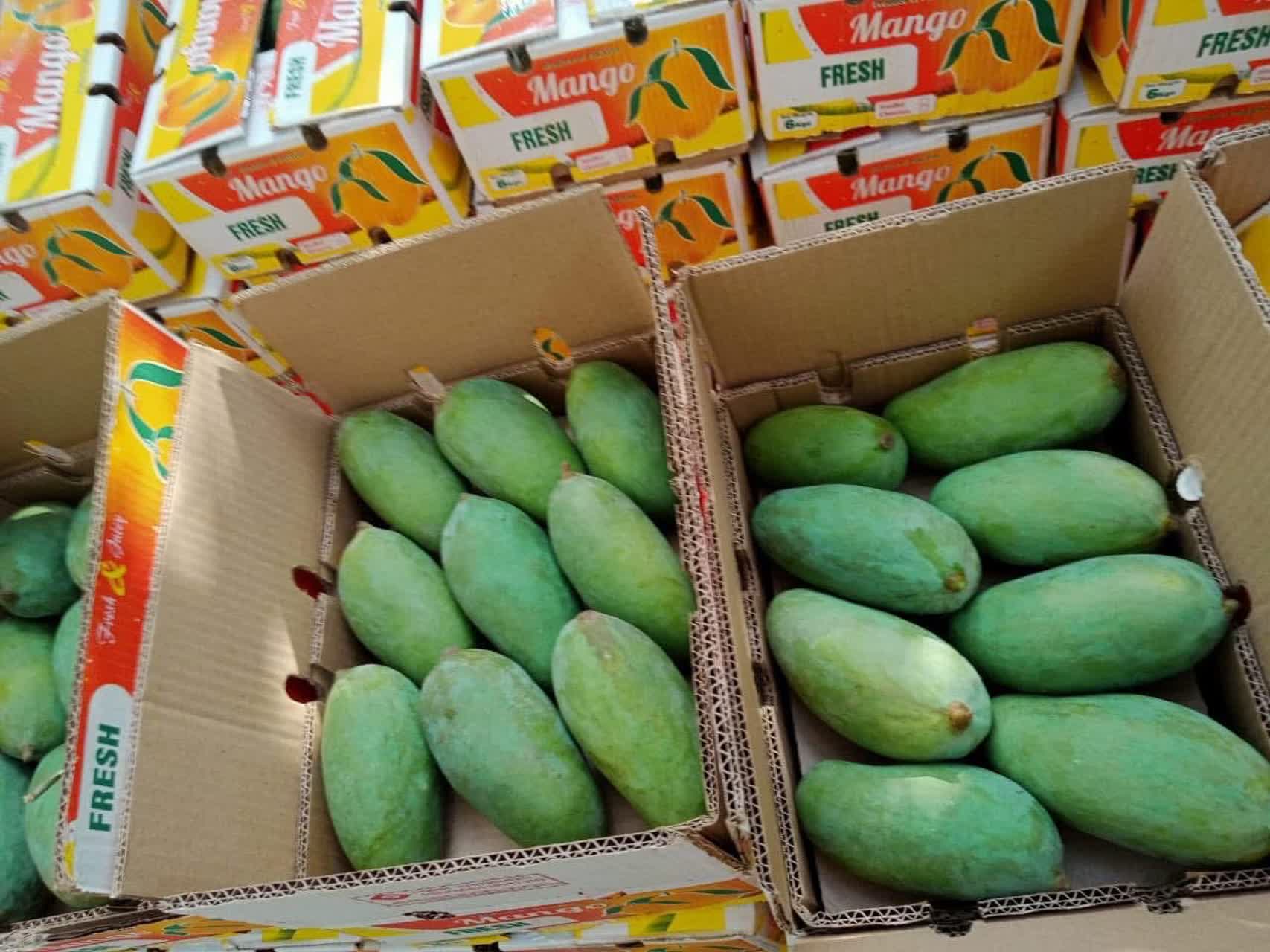 Mango